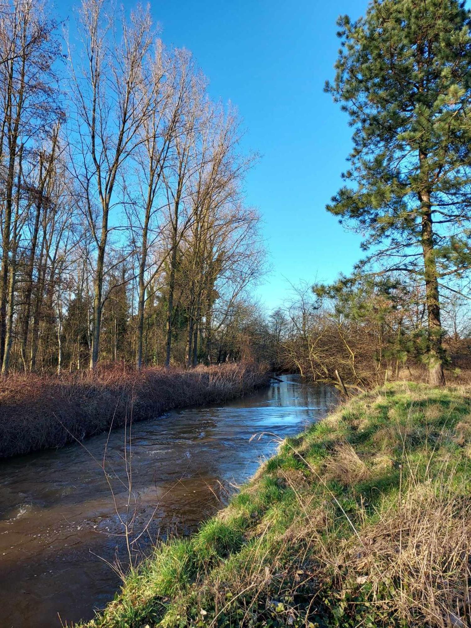 赫尔Rustig Gelegen Chalet Kapeki Met Tuin Aan Het Water别墅 外观 照片